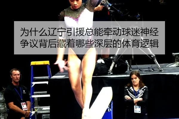 为什么辽宁引援总能牵动球迷神经 争议背后藏着哪些深层的体育逻辑